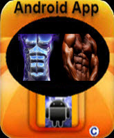 Abs Training Exercises Android App